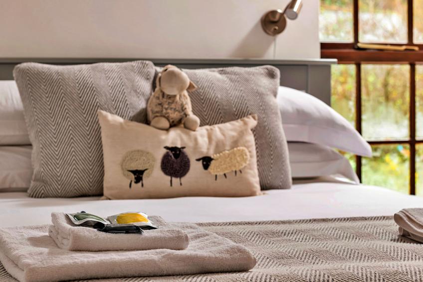 Ty'r Delyn - foto 14