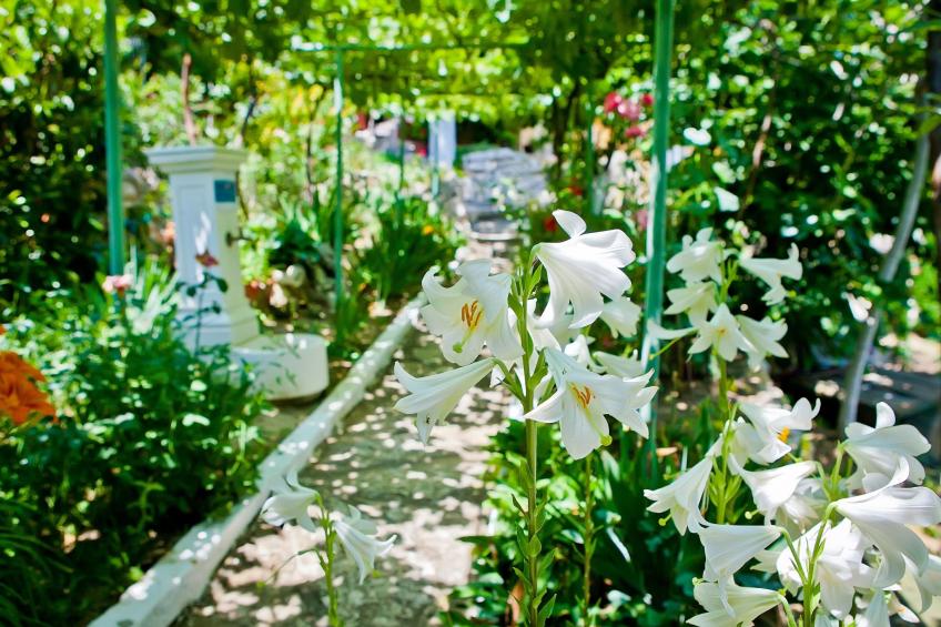 mit Blick auf das Wasser - foto 31