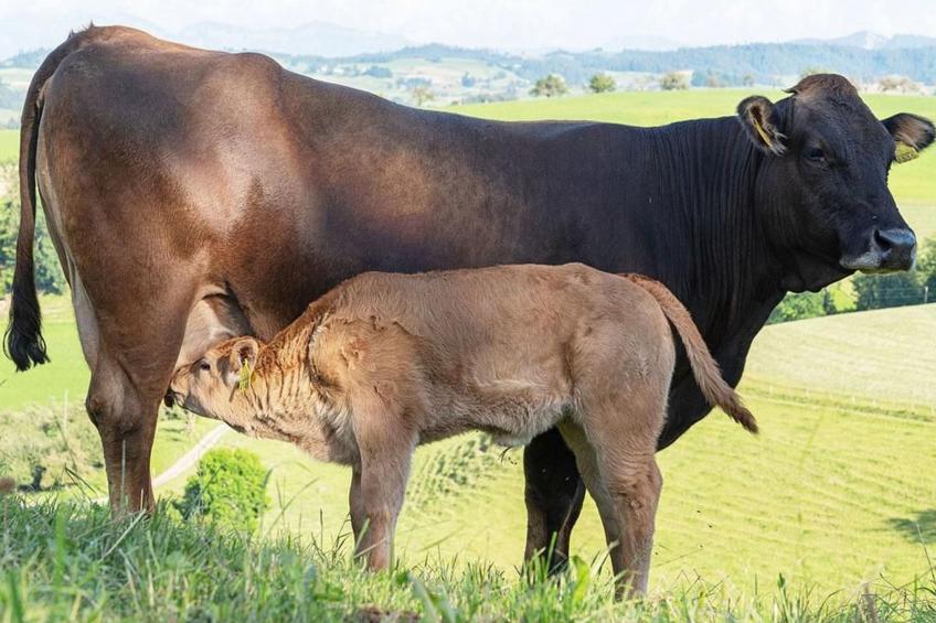 Eggenhof Ferien - foto 19