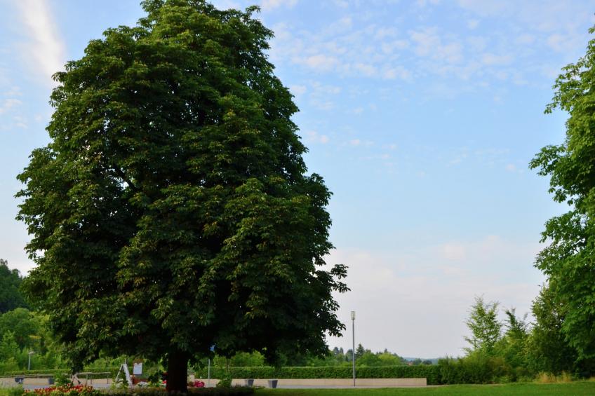 Am Ferienbauernhof - foto 35