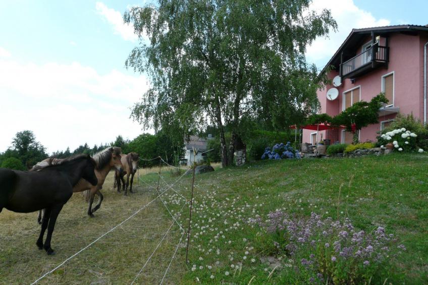 mit Bergblick - foto 2