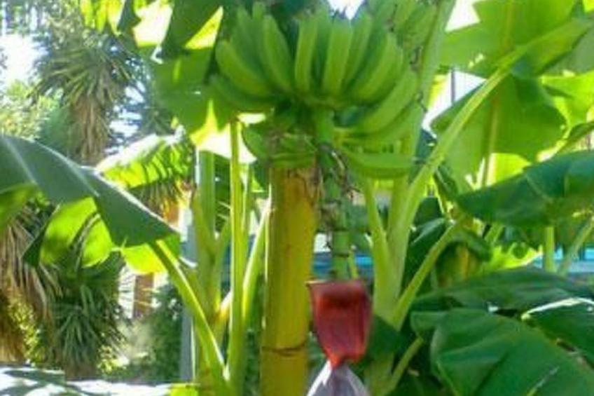 'Cubicula' mit Privatparkplatz - foto 16