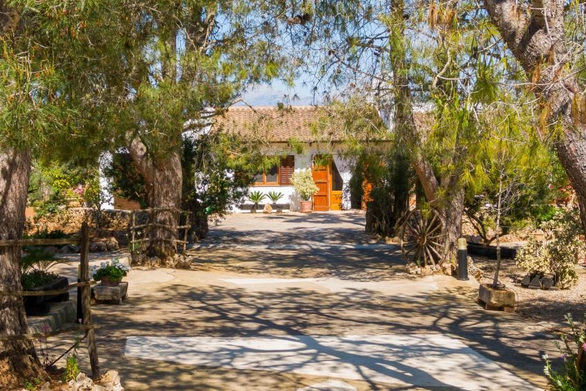 Mulet Llubi - foto 23