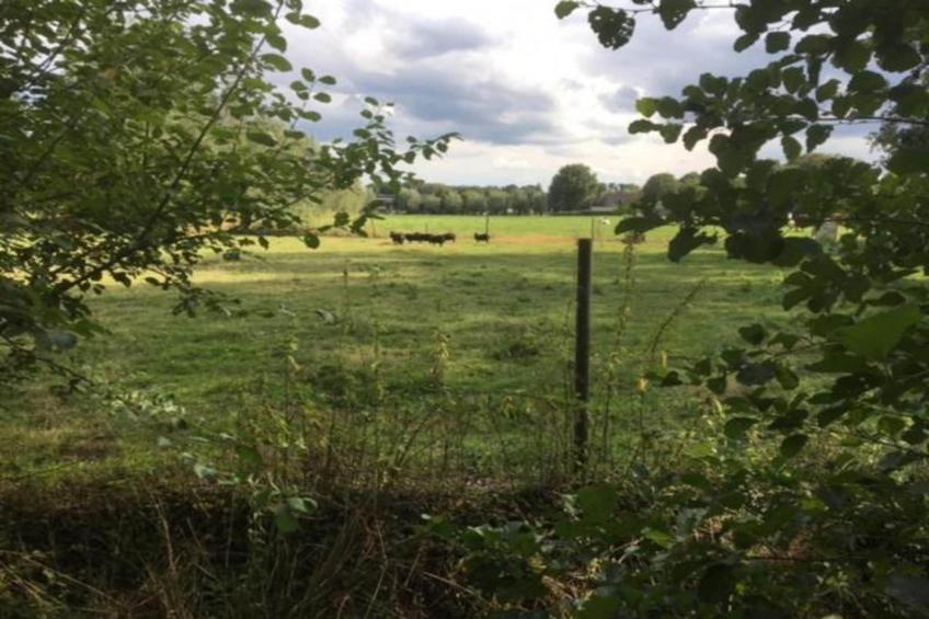 Vakantiepark De Pier - foto 29