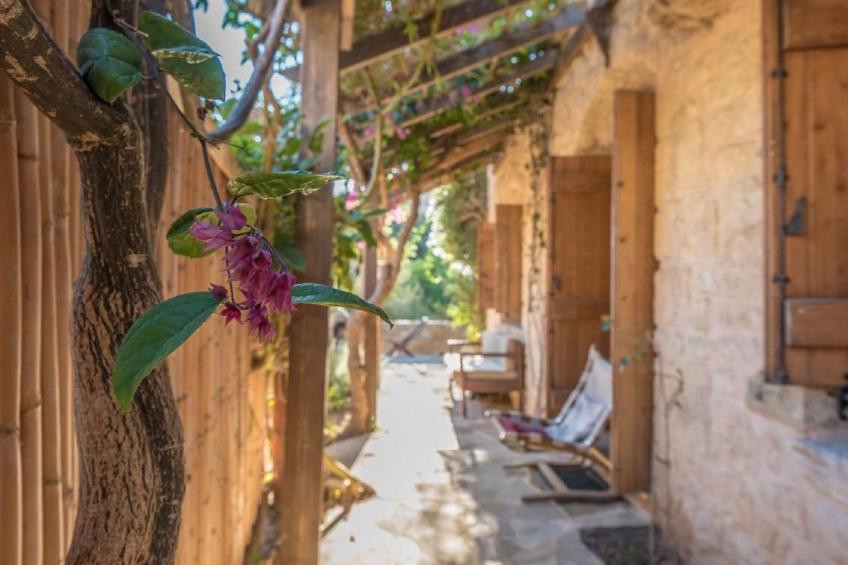 Spiti Papaya - foto 22