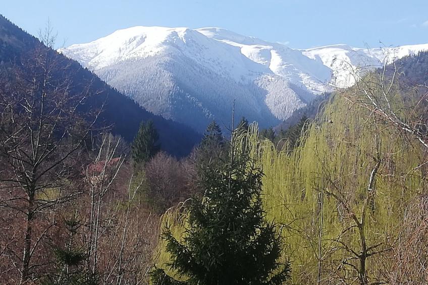 Vila Roberta Breaza Brasov - foto 11