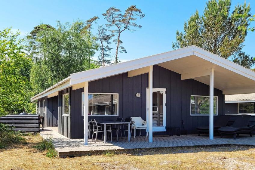 FUGLEKONGEN - foto 11