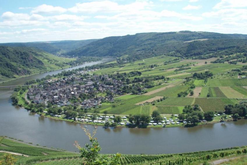 Weingut Justen-Kiebel - foto 26