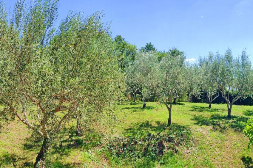 MARINA PICUDO - foto 47