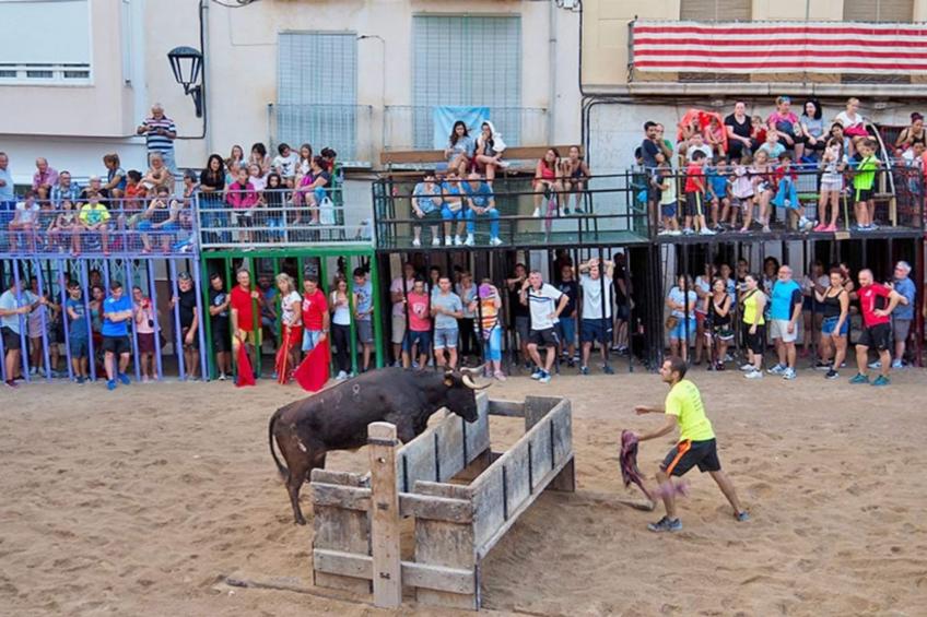 CASITA TOMILLO 3ch 6pers - foto 13