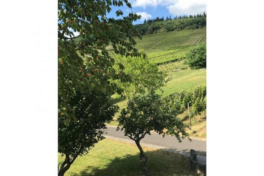 57441 - foto 8
