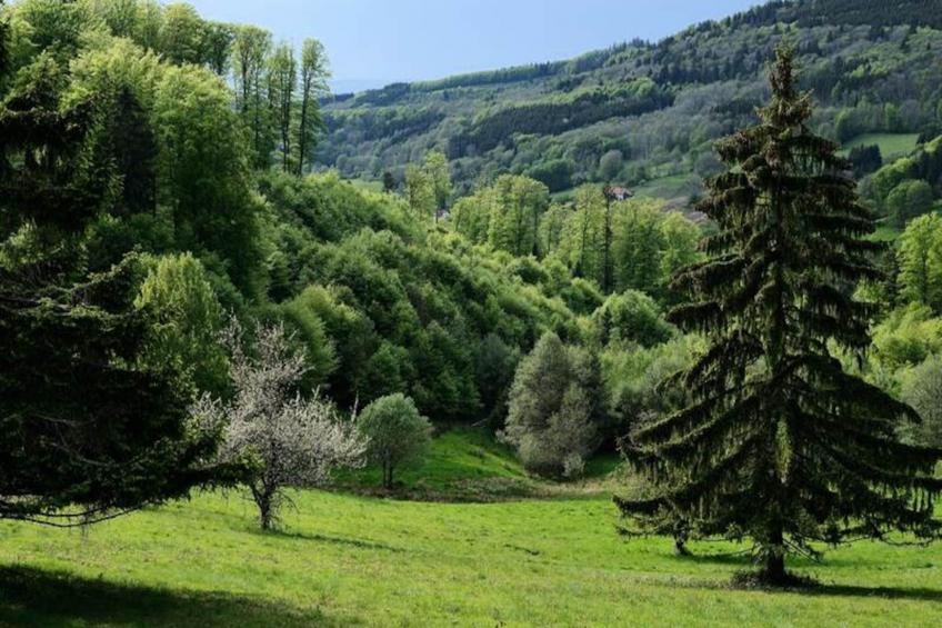 VVF Les Fontaines des Vosges - foto 11