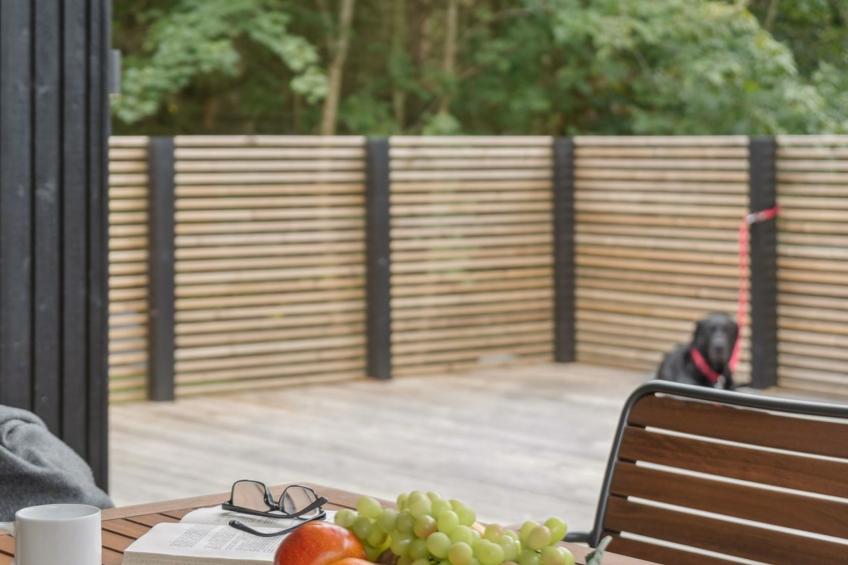 "Aggi" - 850m from the sea - foto 7