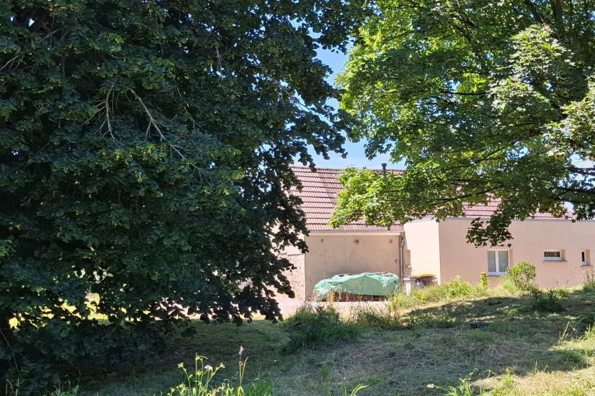 Le Bois aux Ecureuils (Eichhörnchenwald) - foto 47