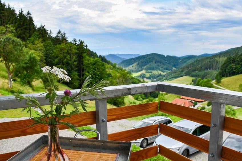 FeWo mit Whirlpool und Infrarotsauna - foto 3