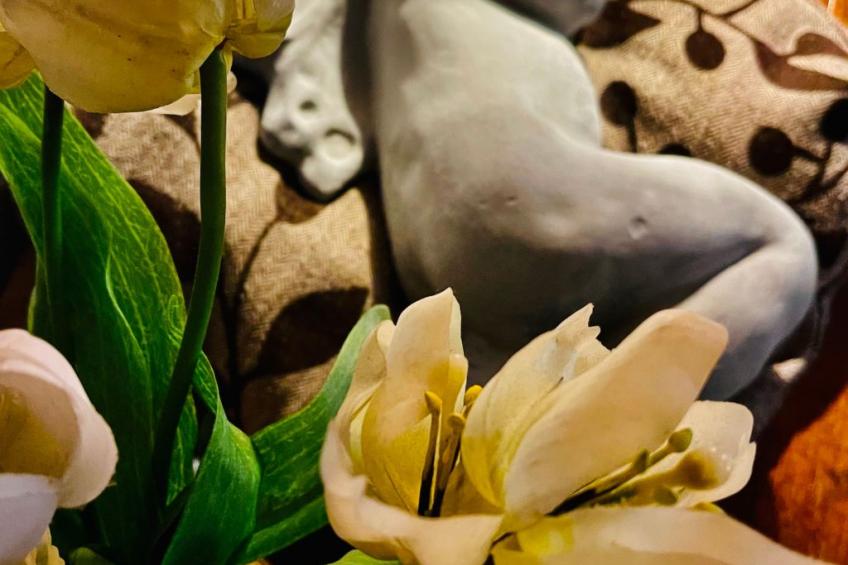 Jägerhaus - foto 49