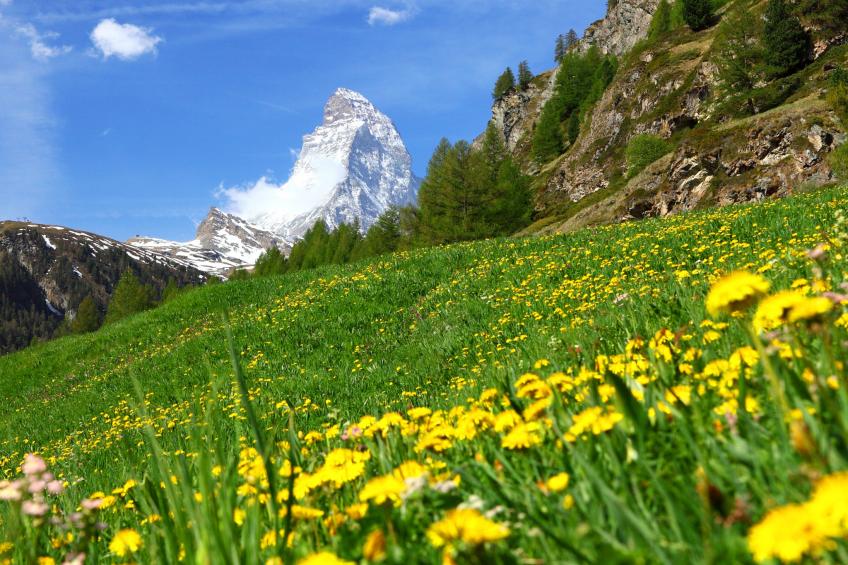 Mont-Blanc - foto 17