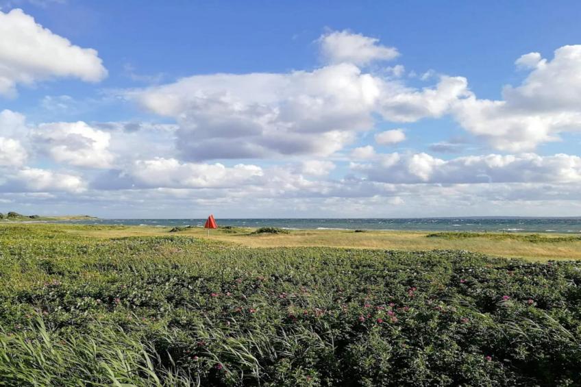 BF-GT294 - foto 14