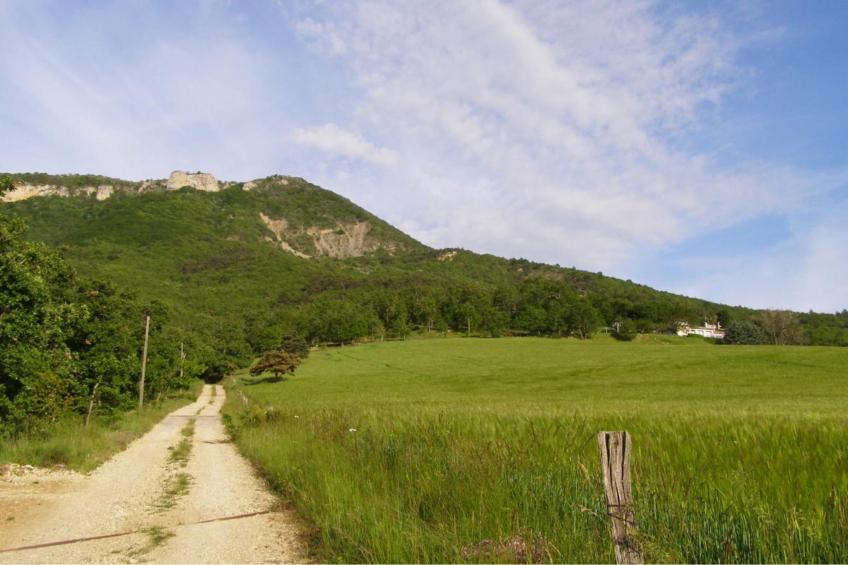 La Bergerie - foto 16