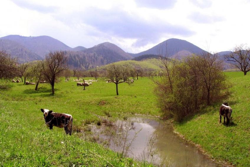 Casa Zollo - nahe den Karpaten Transsilvaniens - foto 25