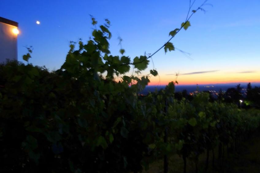 Traumwohnung - foto 32