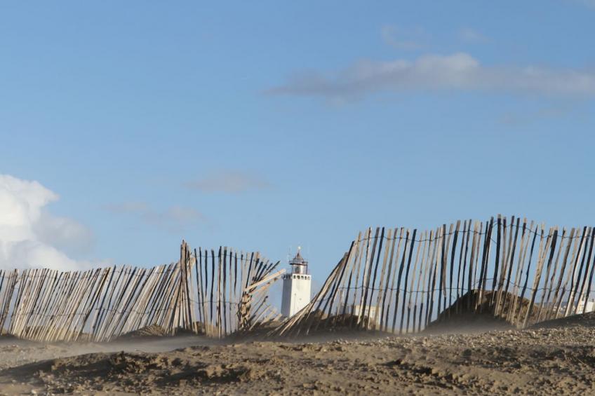 148676 - foto 15