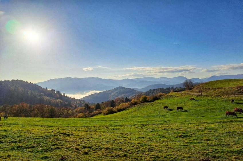 Ronds Chetys - foto 41