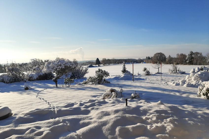 Gustis Hüsli - Alpensicht & Natur pur - foto 58