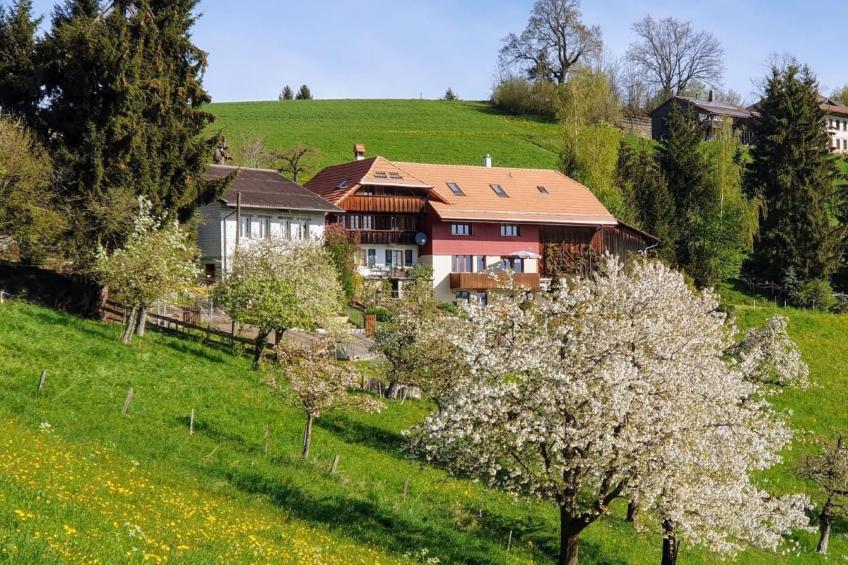 in einem heimeligen Berner-Stöckli - foto 18