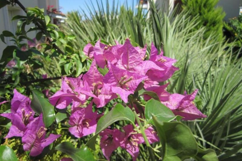 Appartement in Pallini mit Eigenem Balkon - foto 9