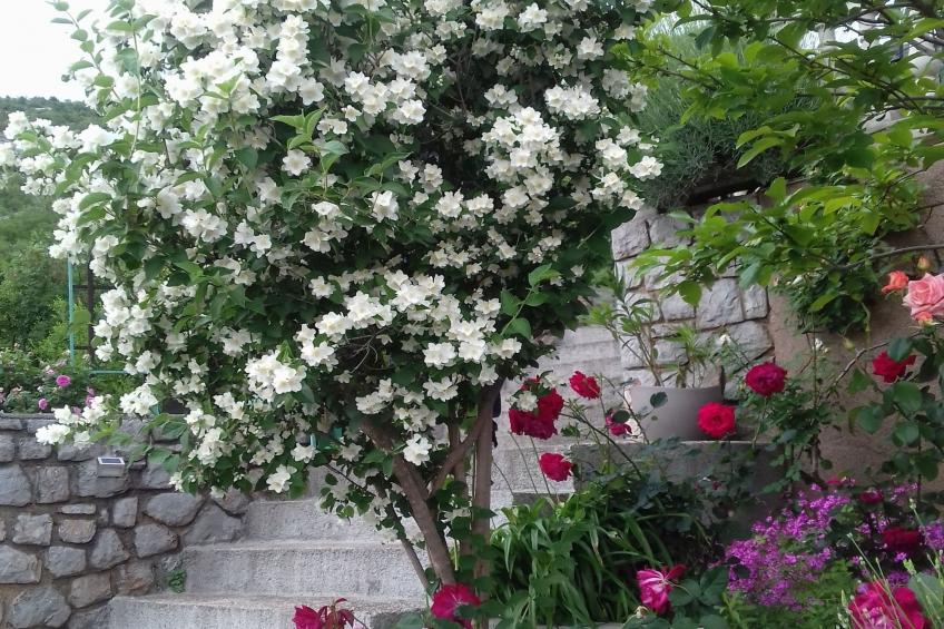 Apartments Luka & Leona - Two Bedroom Apartment with Balcony Luka - foto 15