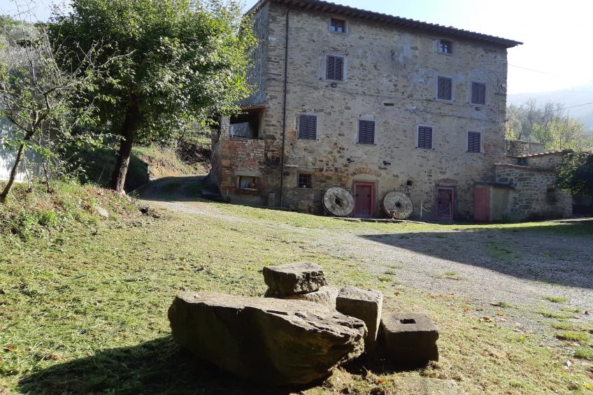 Burone - foto 9