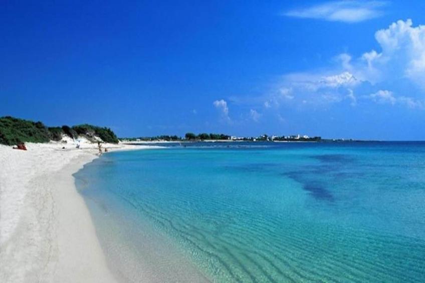 Tentua San Francesco 3 - foto 35