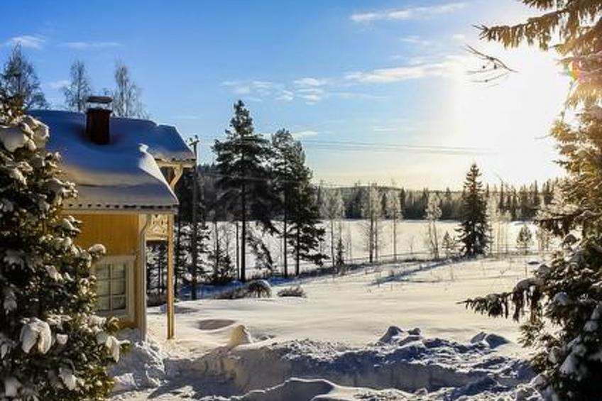 Cape oasis - foto 10