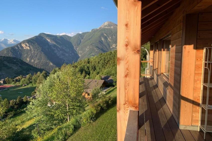 Blue Merle - foto 31