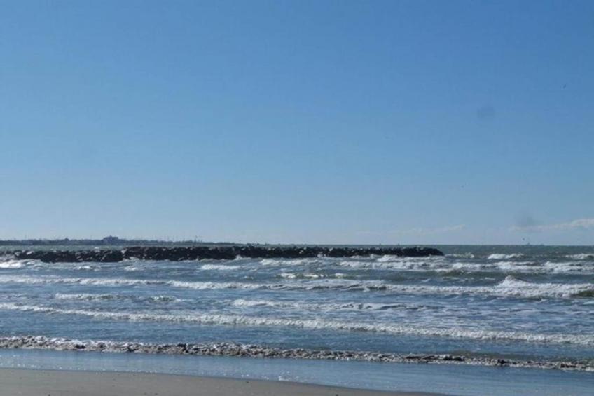 CAP CAMARGUE F N°123 - 3P7 - foto 34