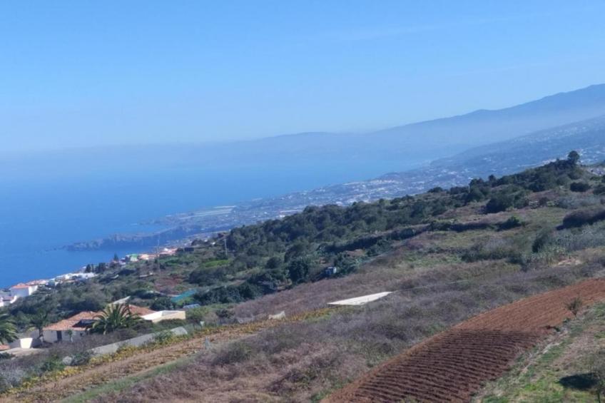 La casa de Amalia - foto 26