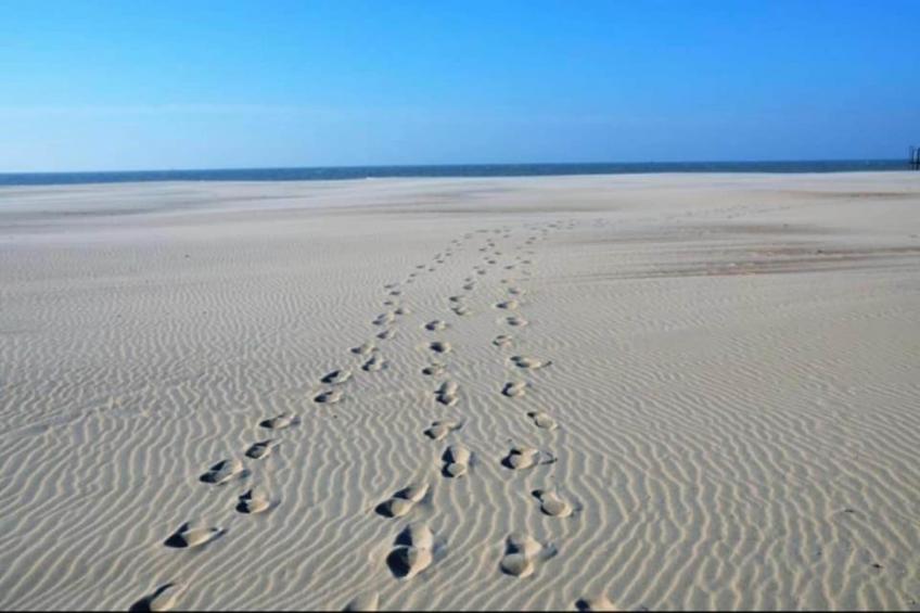 THE GREEN 0001PK - foto 39