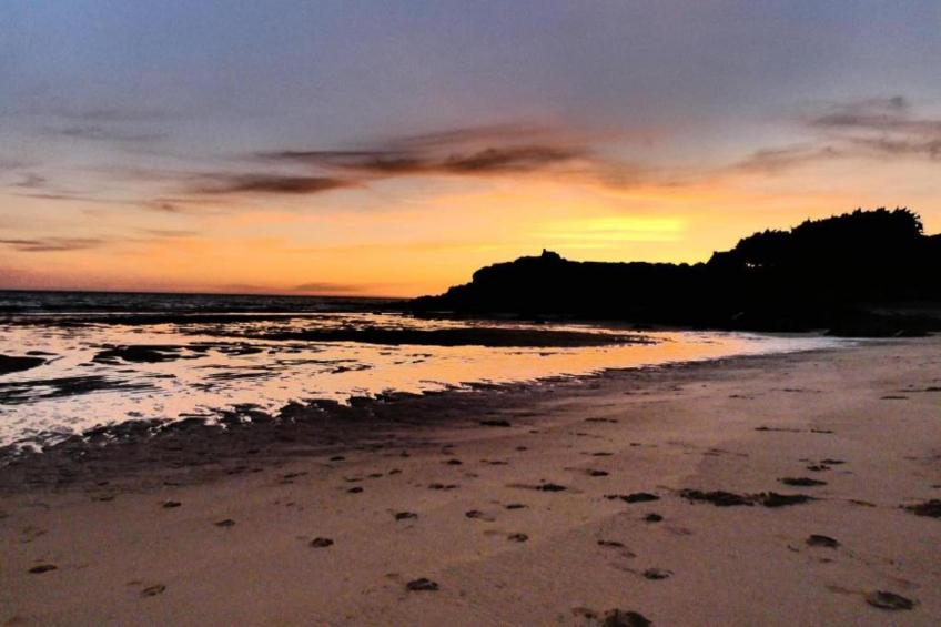 Maison de la Foret - foto 36