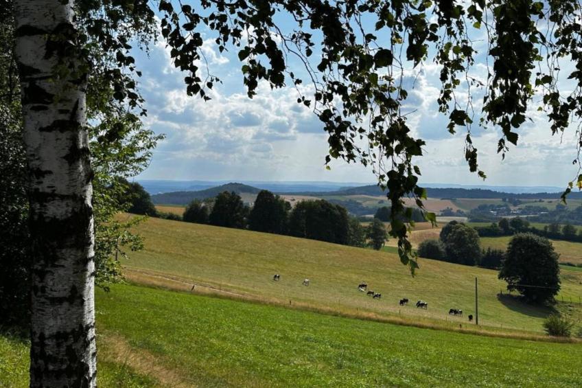 Ferienhaus Panoramablick - foto 38