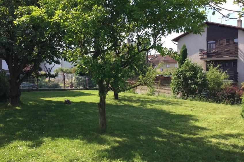 Wohnung Lydiavi - foto 21