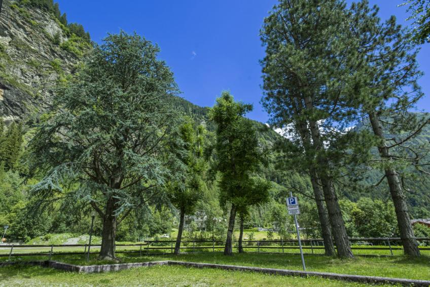 Leonardi Terrace - foto 6