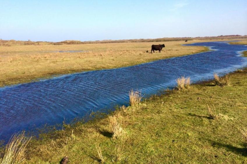 't Hoogelandt - foto 34