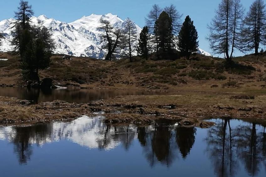 Moosalpe A - foto 11