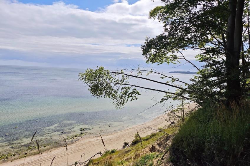 Seepark Sellin Ferienwohnungen, Sellin - Typ B - foto 27