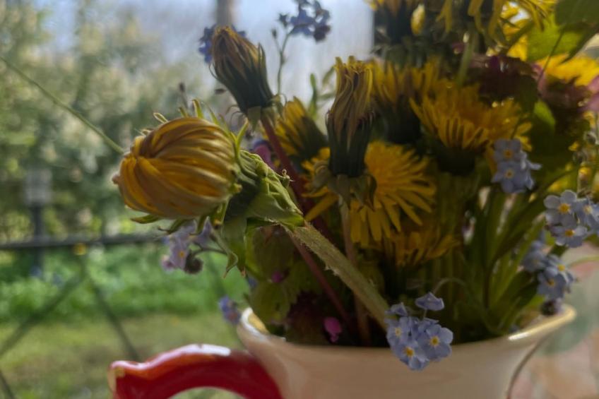 Datscha im Grünen - foto 25