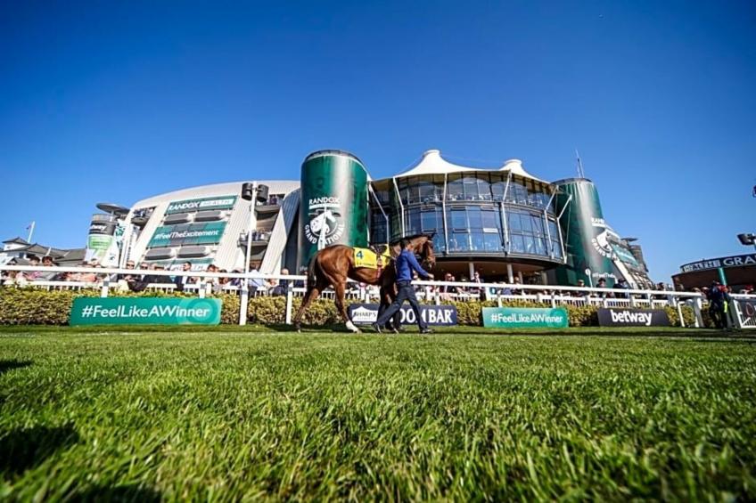 Junior Suite - foto 30