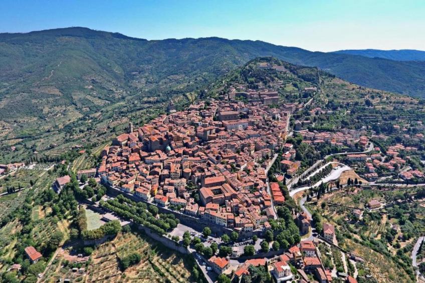 Cicerchia - foto 33