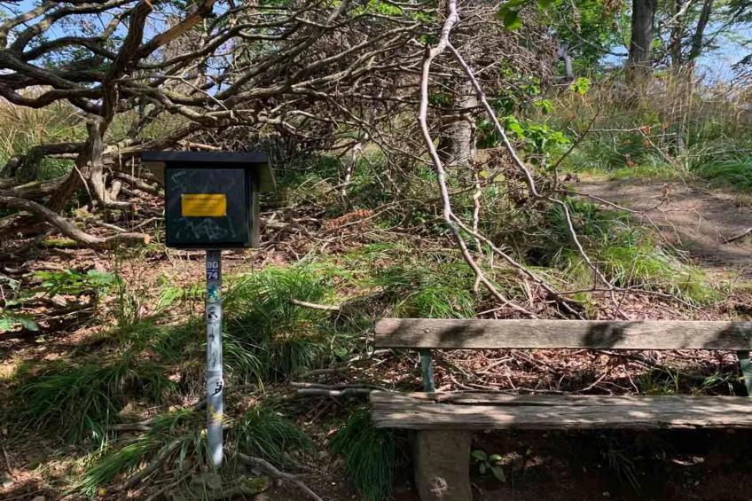 Vakantiehuis, Wieda - foto 25