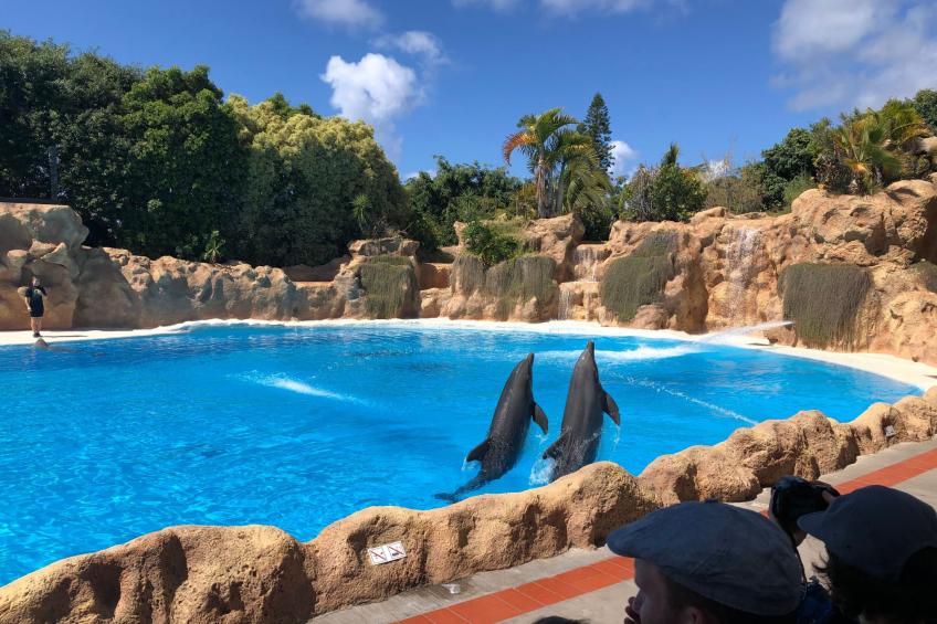 Apartment La Arena - foto 30